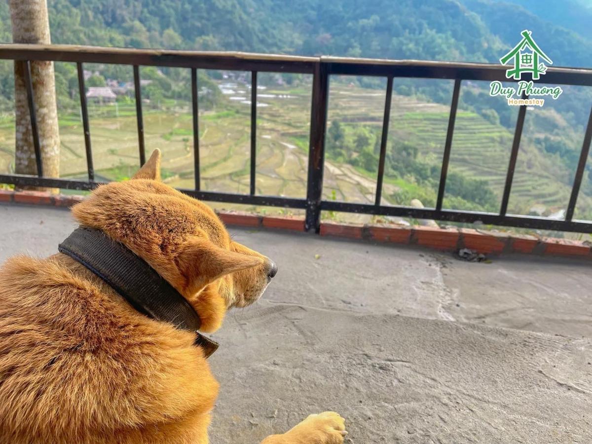 Pu Luong - Duy Phuong Homestay Thanh Hóa Exteriér fotografie
