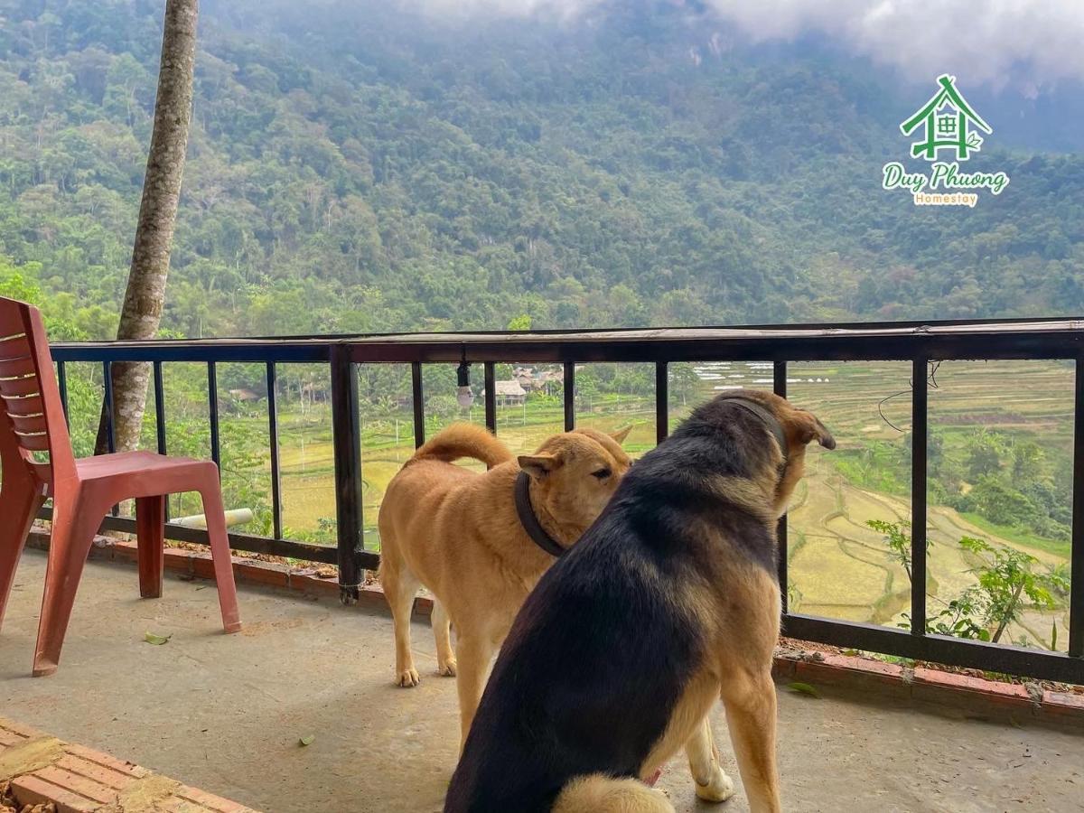 Pu Luong - Duy Phuong Homestay Thanh Hóa Exteriér fotografie