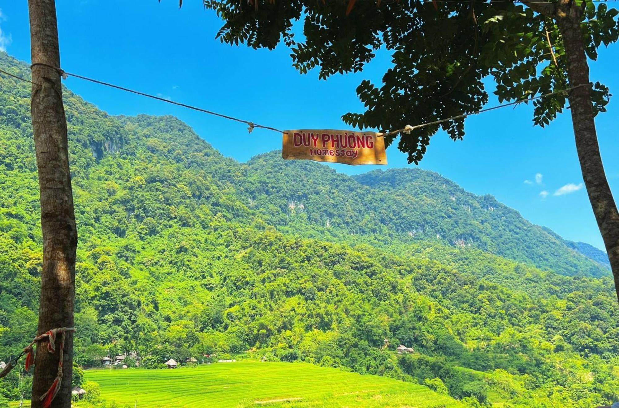 Pu Luong - Duy Phuong Homestay Thanh Hóa Exteriér fotografie